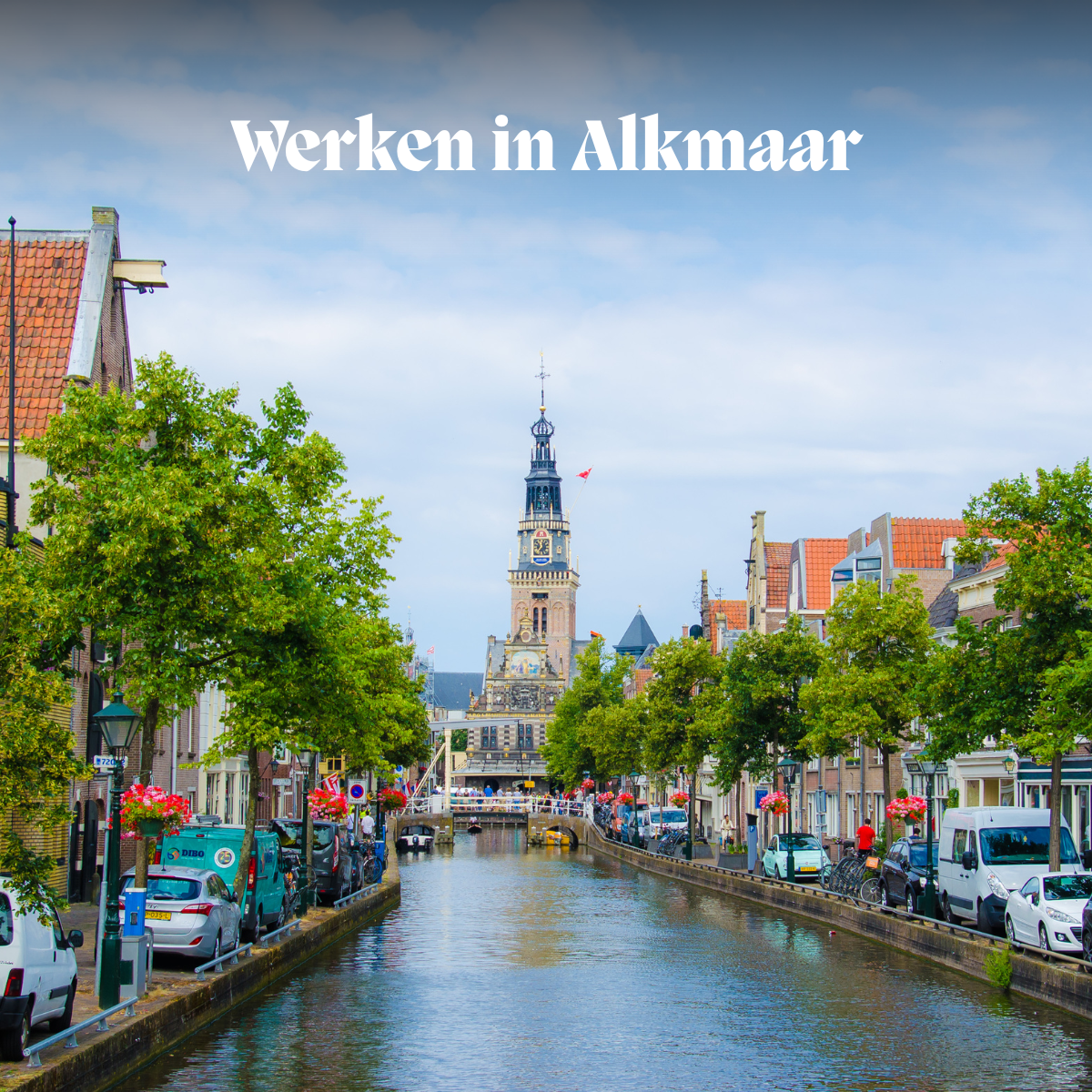 Werken in Alkmaar: vind de baan die bij je past