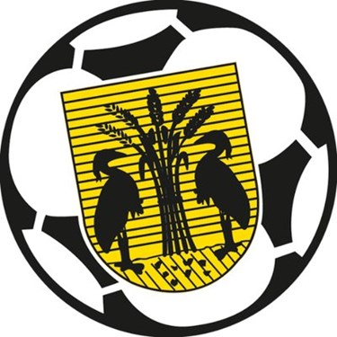 Voetbalvereniging Reiger Boys logo